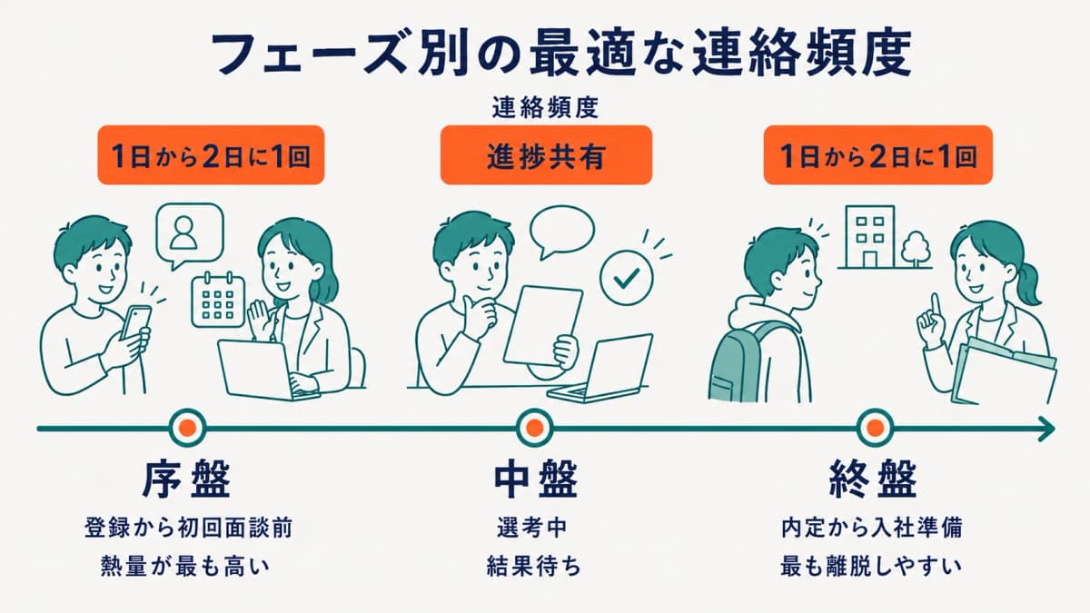 選考フェーズごとに最適な連絡頻度が変化することを示したタイムライン図