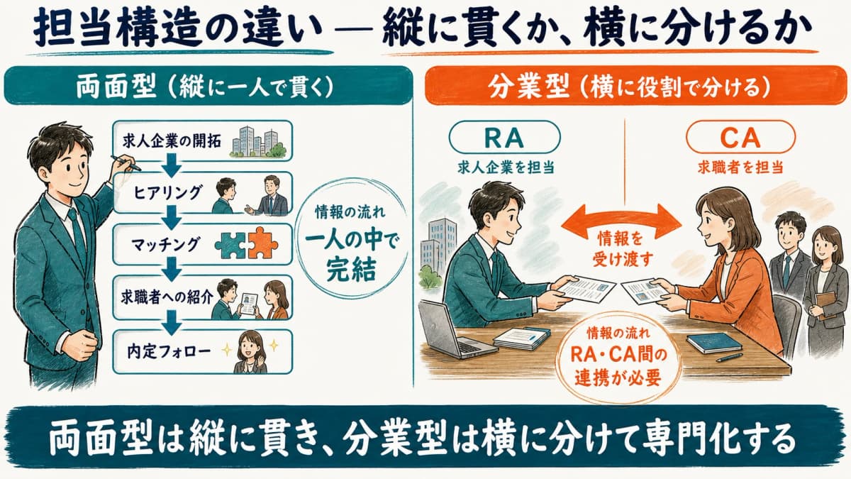 両面型は一人が縦に担当し分業型はRAとCAが横に分かれる構造図